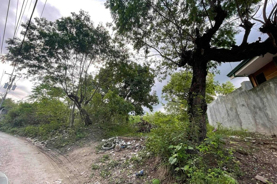 Land for Sale in Guadalupe, Cebu City, Cebu – photo 3