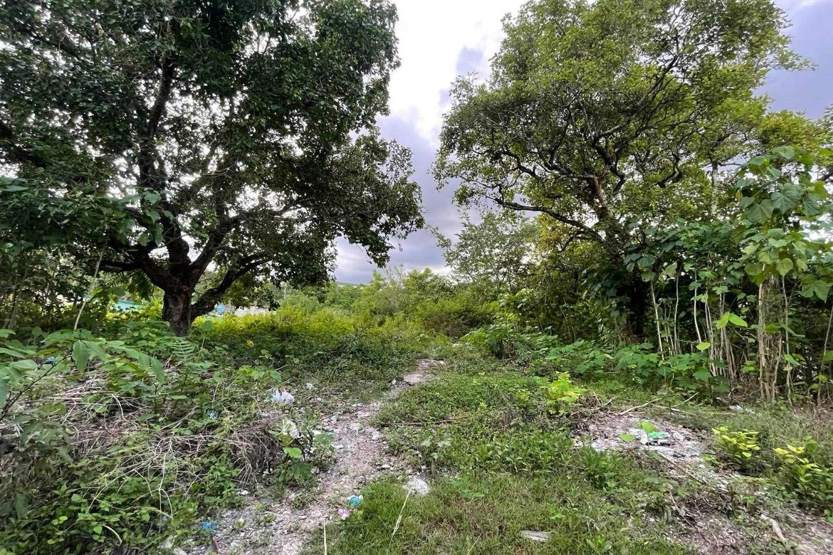 Land for Sale in Guadalupe, Cebu City, Cebu – photo 4