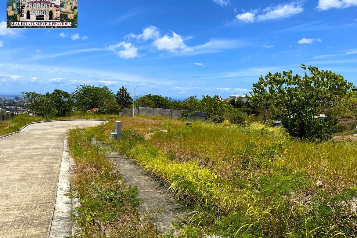 Land for Sale in Guadalupe, Cebu City, Cebu – photo 4