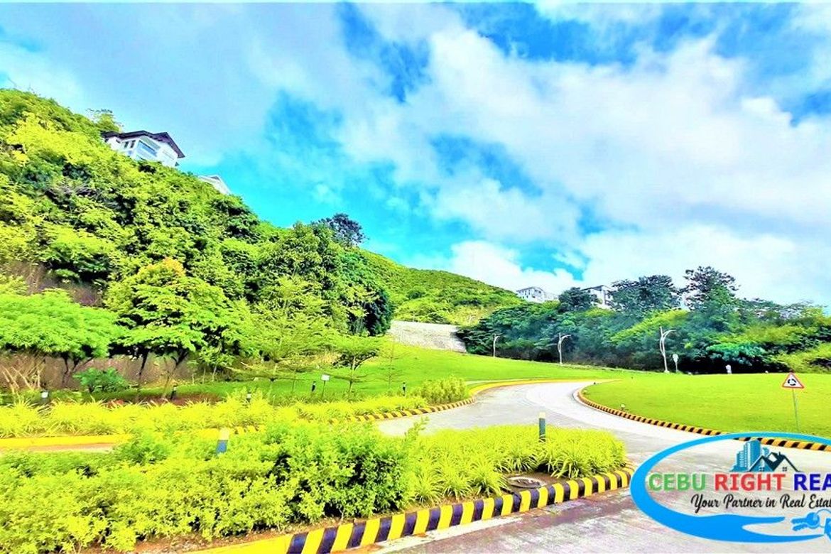 Land for Sale in Guadalupe, Cebu City, Cebu – photo 4