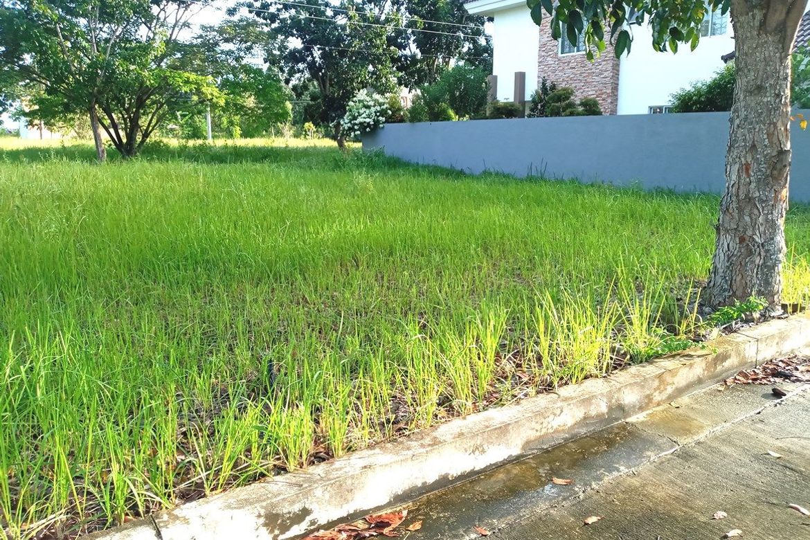 Land for Sale in Guadalupe, Cebu City, Cebu – photo 3