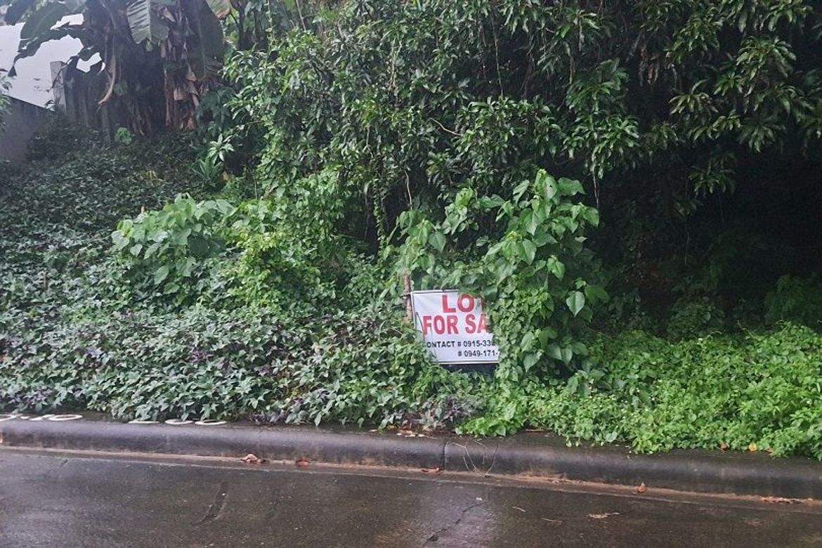 Land for Sale in Guadalupe, Cebu City, Cebu – photo 5