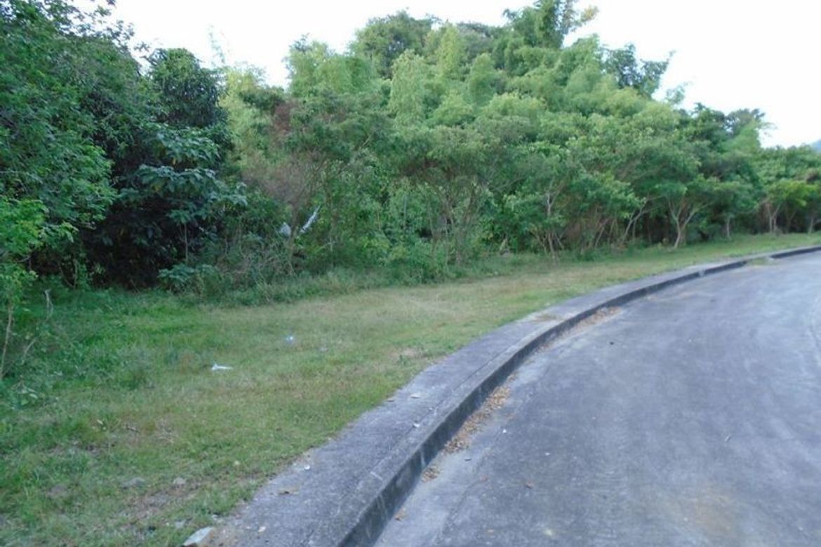Land for Sale in Guadalupe, Cebu City, Cebu – photo 6