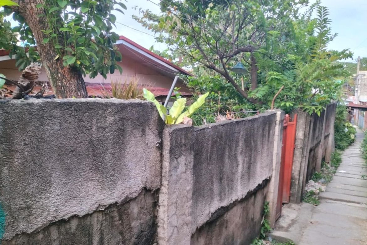 Land for Sale in Guadalupe, Cebu City, Cebu – photo 4