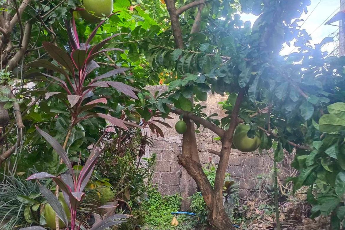 Land for Sale in Guadalupe, Cebu City, Cebu – photo 6