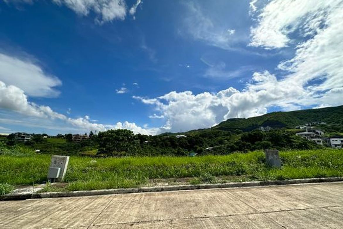 Land for Sale in Guadalupe, Cebu City, Cebu – photo 5