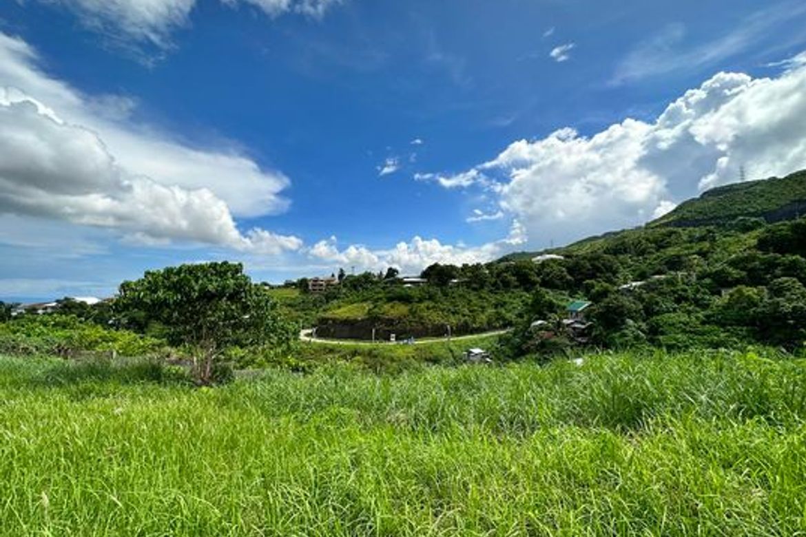Land for Sale in Guadalupe, Cebu City, Cebu – photo 6
