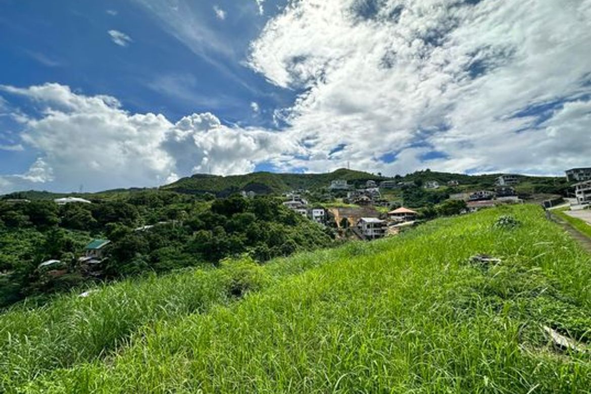 Land for Sale in Guadalupe, Cebu City, Cebu – photo 7