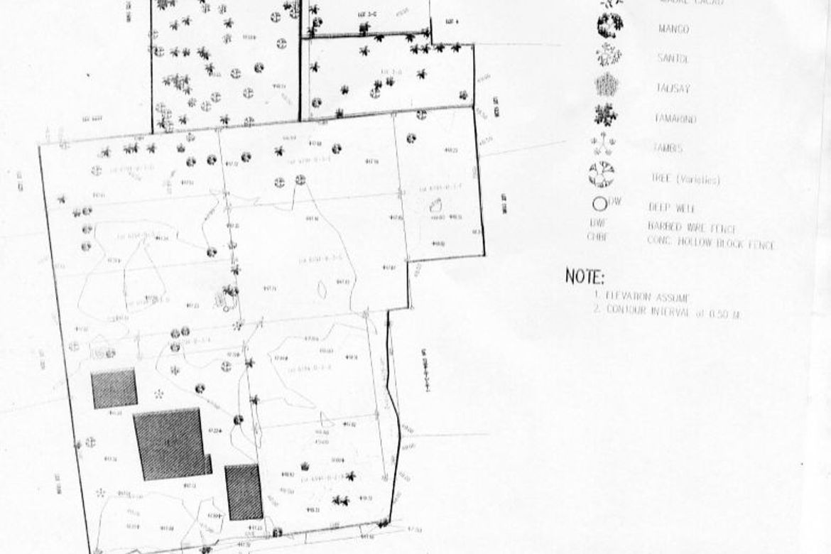 Land for Sale in Guadalupe, Cebu City, Cebu – photo 3