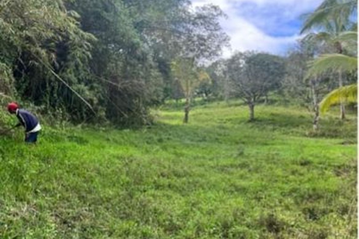 Land for Sale in Guba, Cebu City, Cebu – photo 3