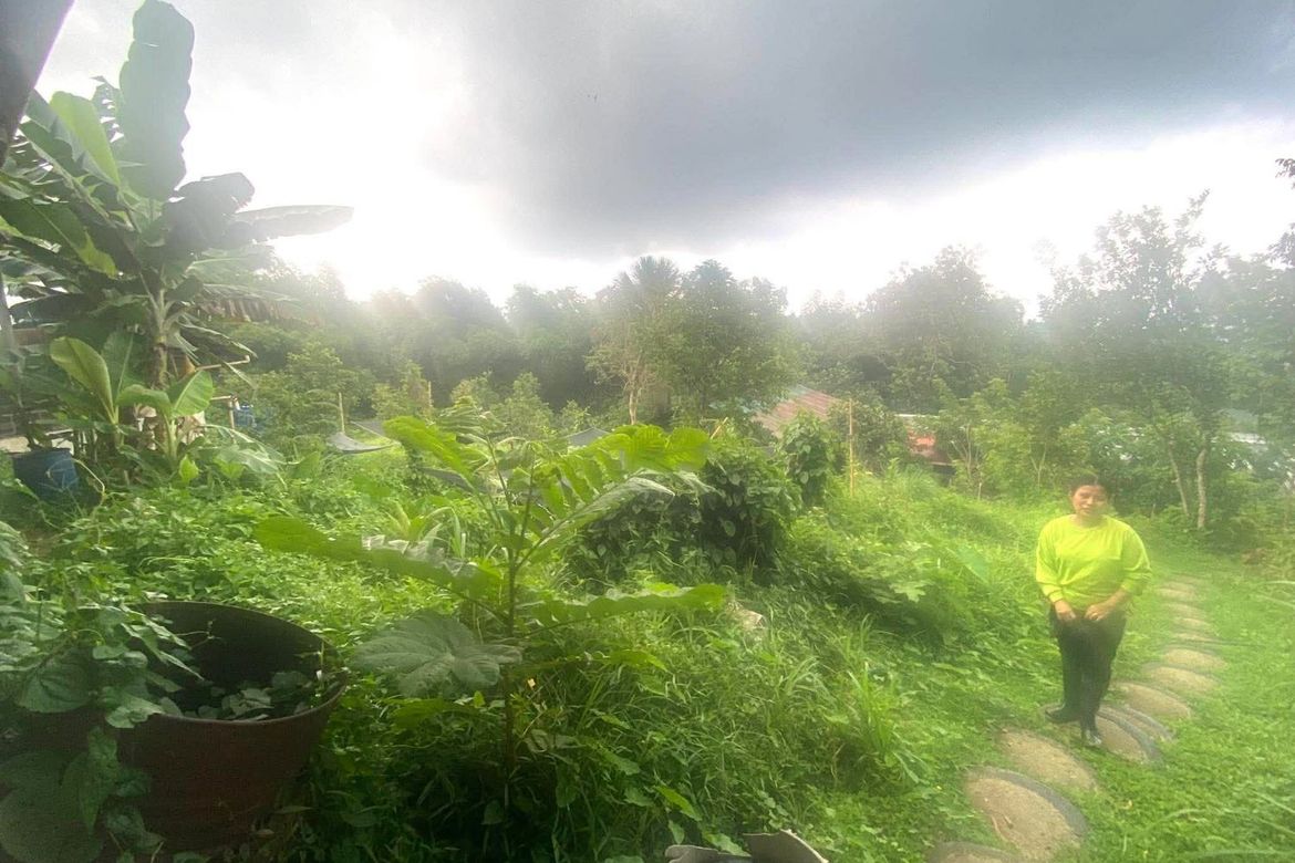 Land for Sale in Guba, Cebu City, Cebu