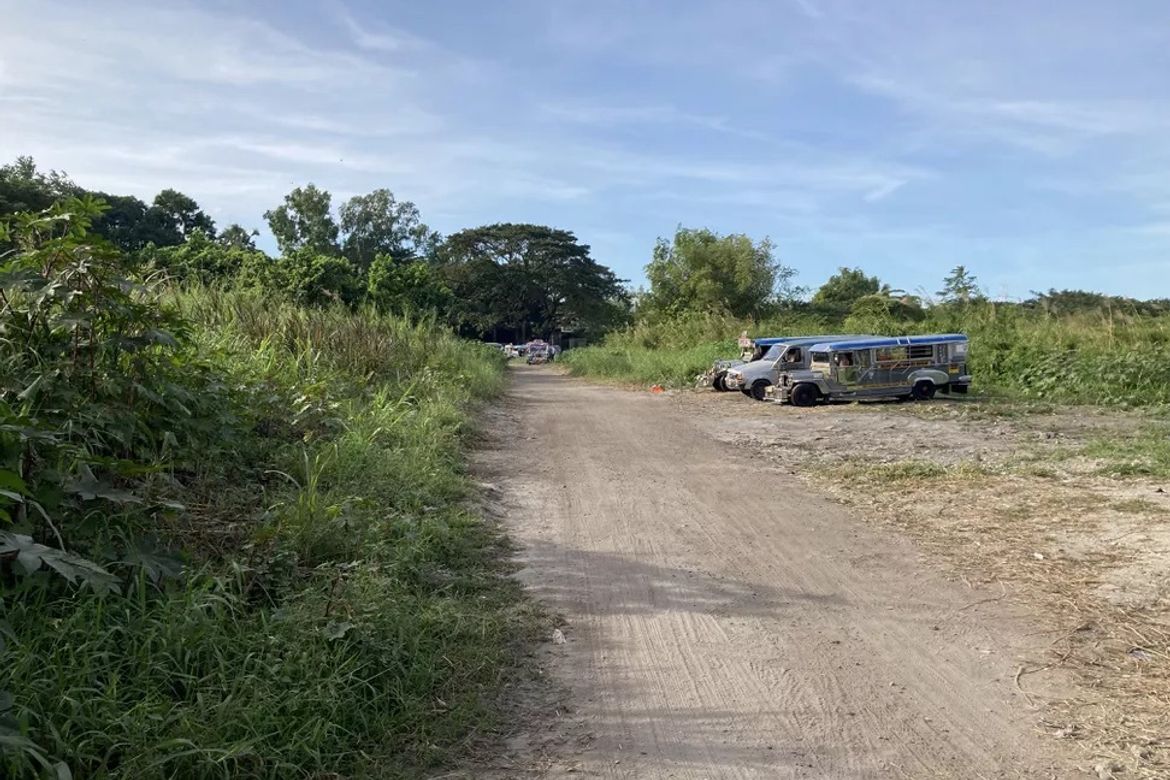 Land for Sale in Guevarra, La Paz, Tarlac – photo 8