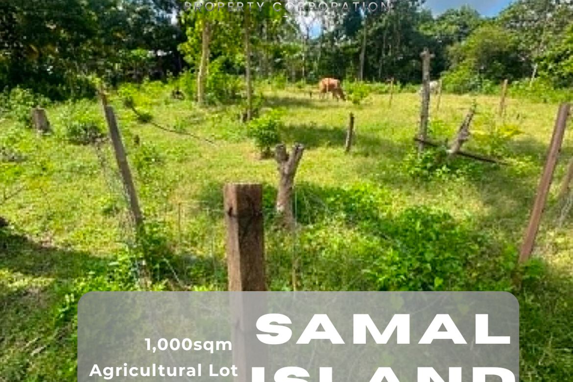 Land for Sale in Guilon, Samal, Davao del Norte