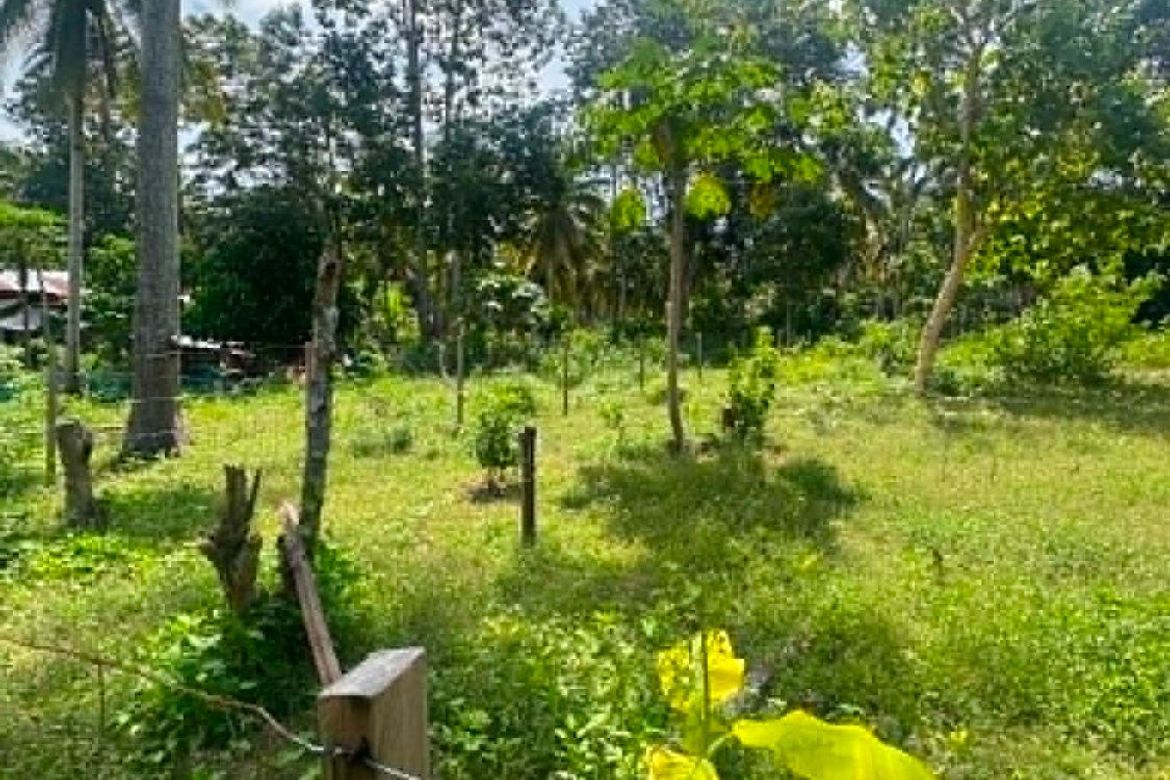 Land for Sale in Guilon, Samal, Davao del Norte – photo 2