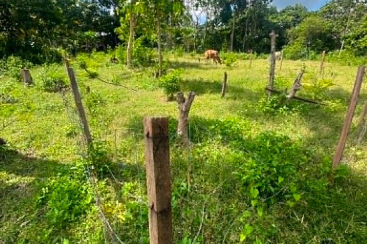 Land for Sale in Guilon, Samal, Davao del Norte – photo 3