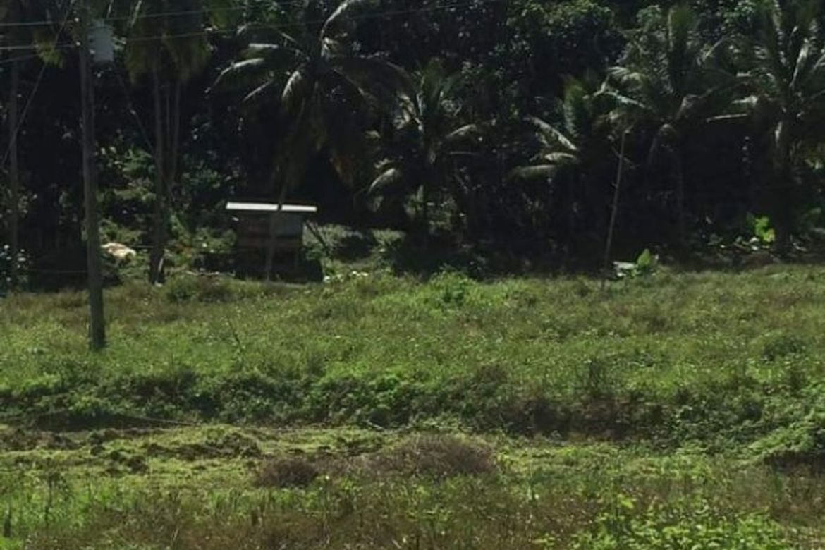 Land for Sale in Guimbangco-An, Sibonga, Cebu