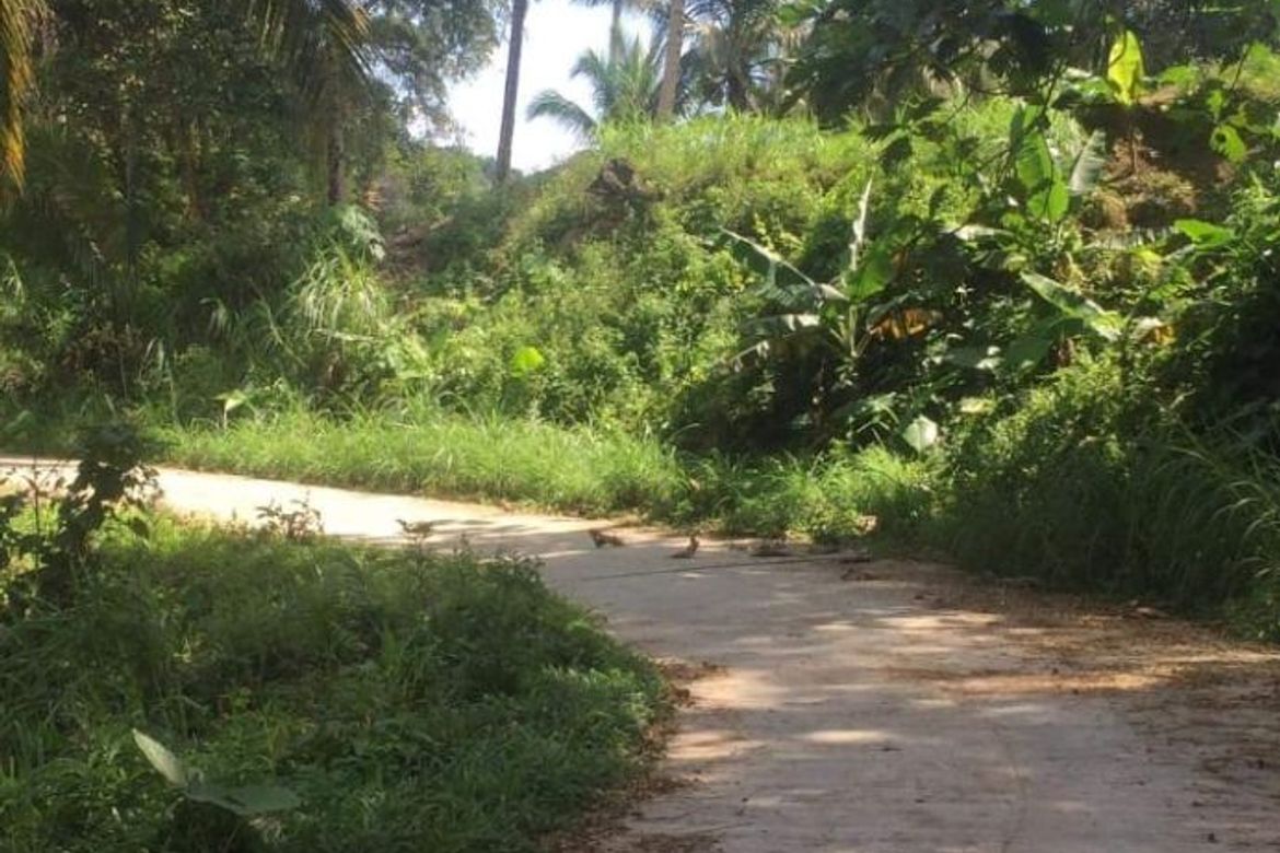 Land for Sale in Guimbangco-An, Sibonga, Cebu – photo 6