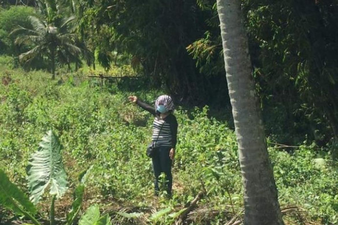 Land for Sale in Guimbangco-An, Sibonga, Cebu – photo 8
