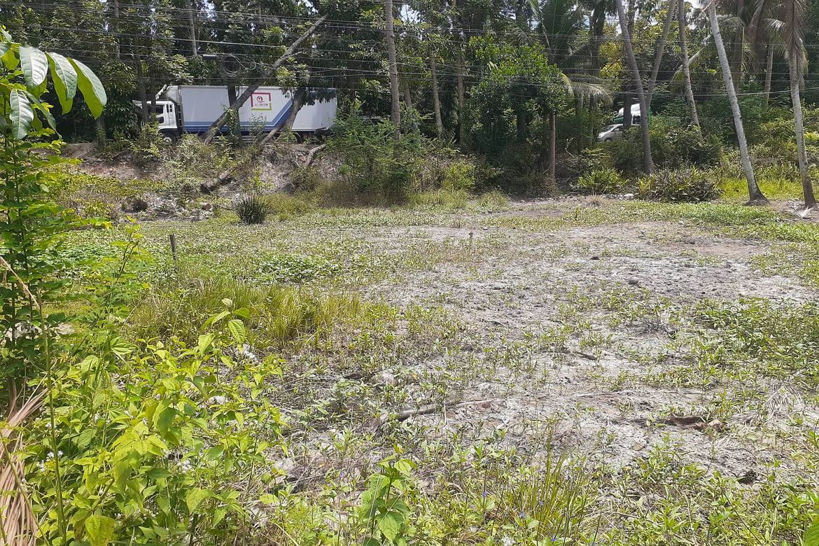 Land for Sale in Guimbangco-An, Sibonga, Cebu – photo 2