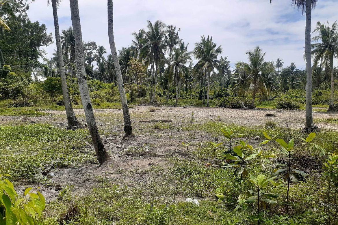 Land for Sale in Guimbangco-An, Sibonga, Cebu – photo 4