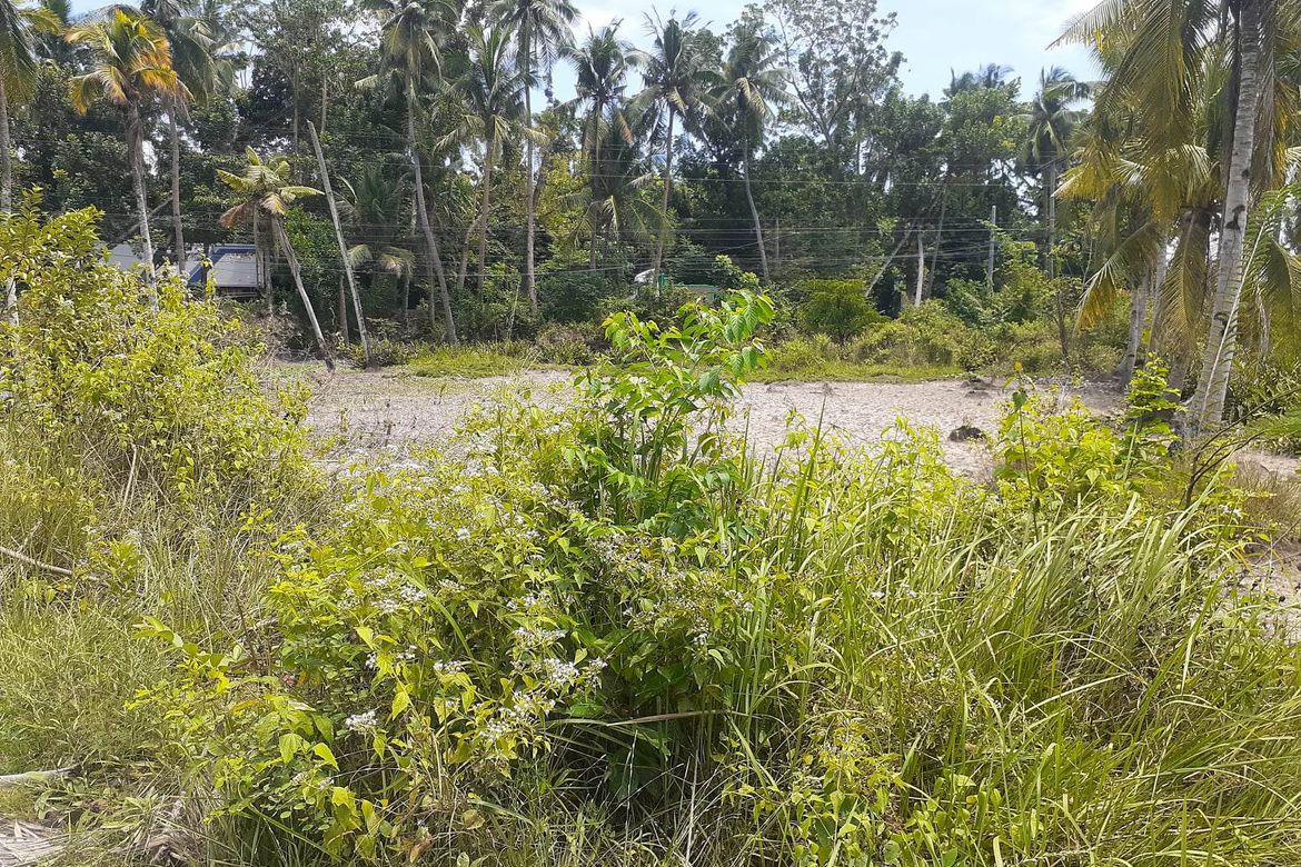 Land for Sale in Guimbangco-An, Sibonga, Cebu – photo 5