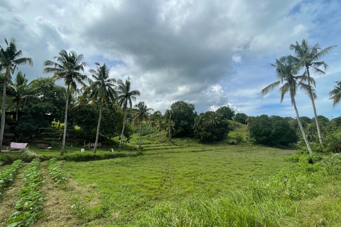 Land for Sale in Guinabsan, Buenavista, Agusan del Norte – photo 4
