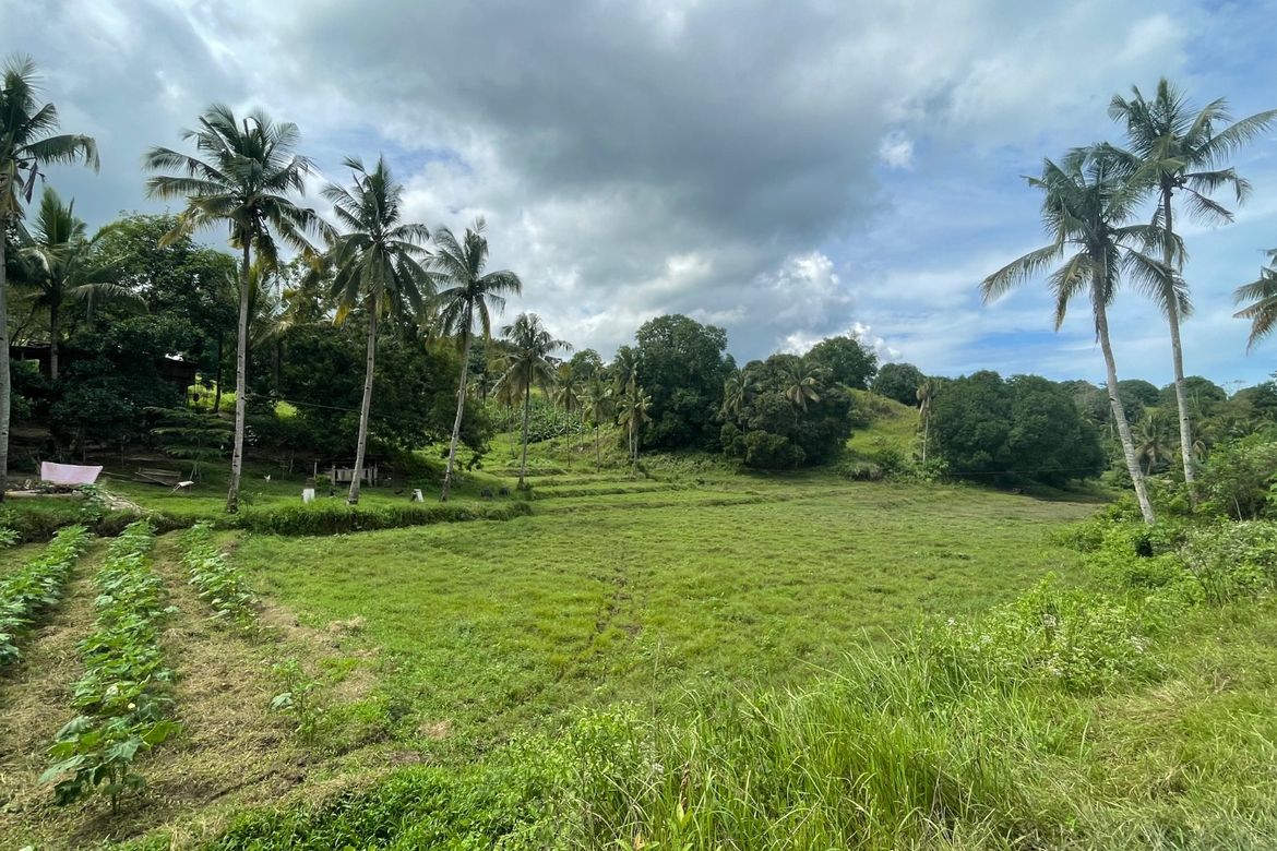 Land for Sale in Guinabsan, Buenavista, Agusan del Norte – photo 5