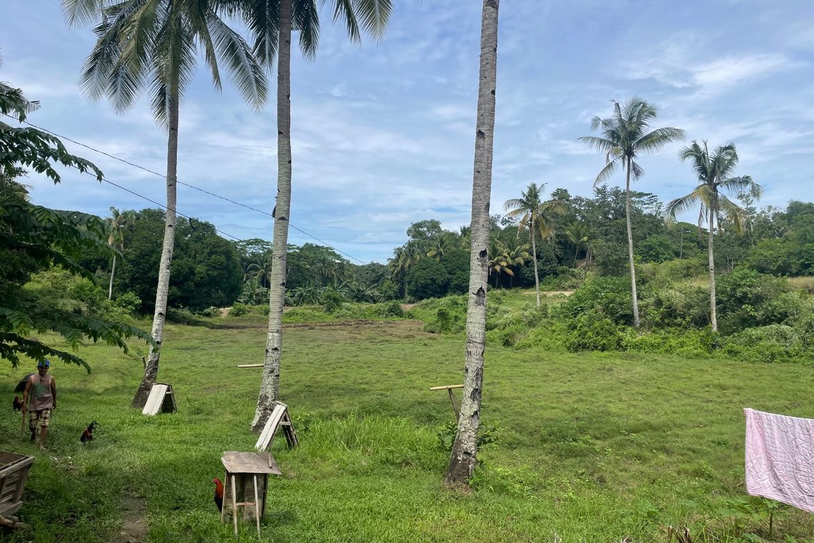 Land for Sale in Guinabsan, Buenavista, Agusan del Norte – photo 6