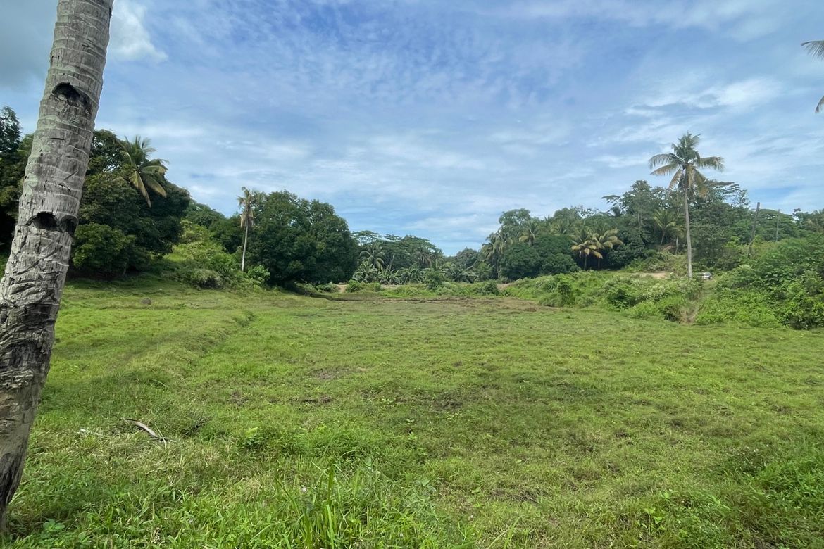 Land for Sale in Guinabsan, Buenavista, Agusan del Norte – photo 7