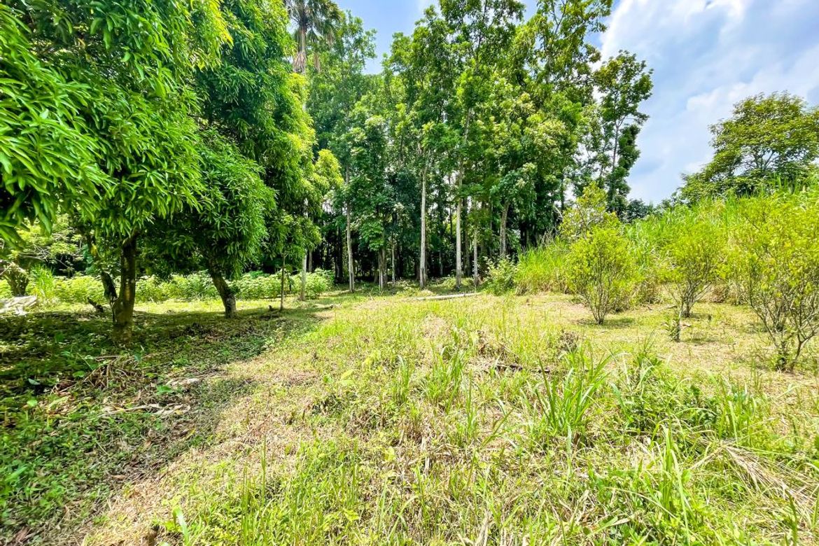 Land for Sale in Guinhawa North, Tagaytay, Cavite – photo 5