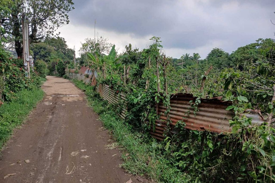 Land for Sale in Guinhawa North, Tagaytay, Cavite – photo 5