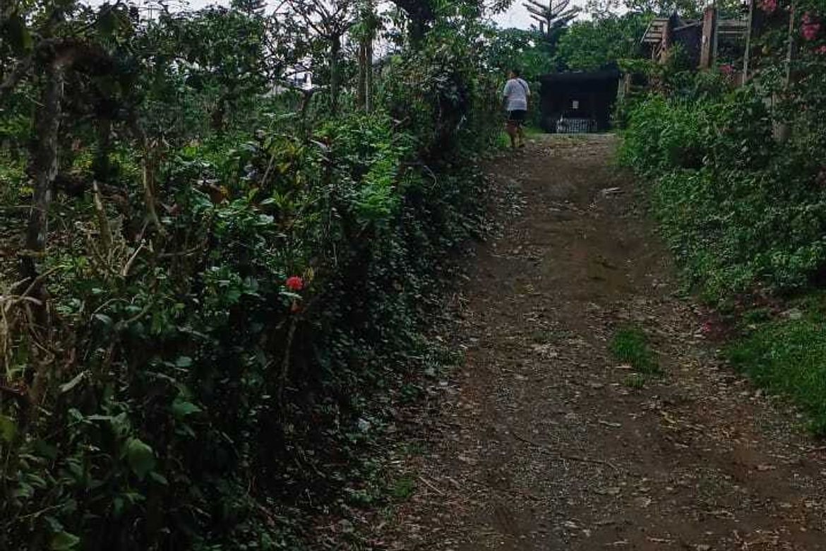 Land for Sale in Guinhawa North, Tagaytay, Cavite – photo 6