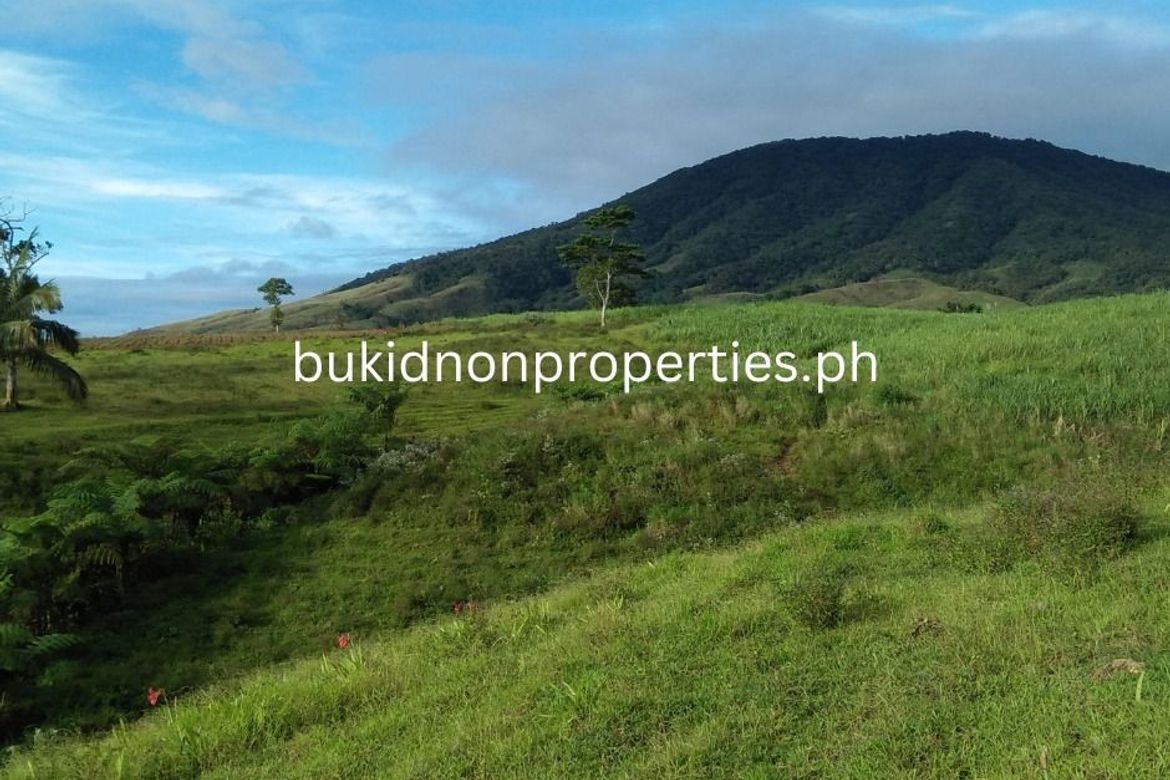Land for Sale in Guinoyuran, Valencia, Bukidnon