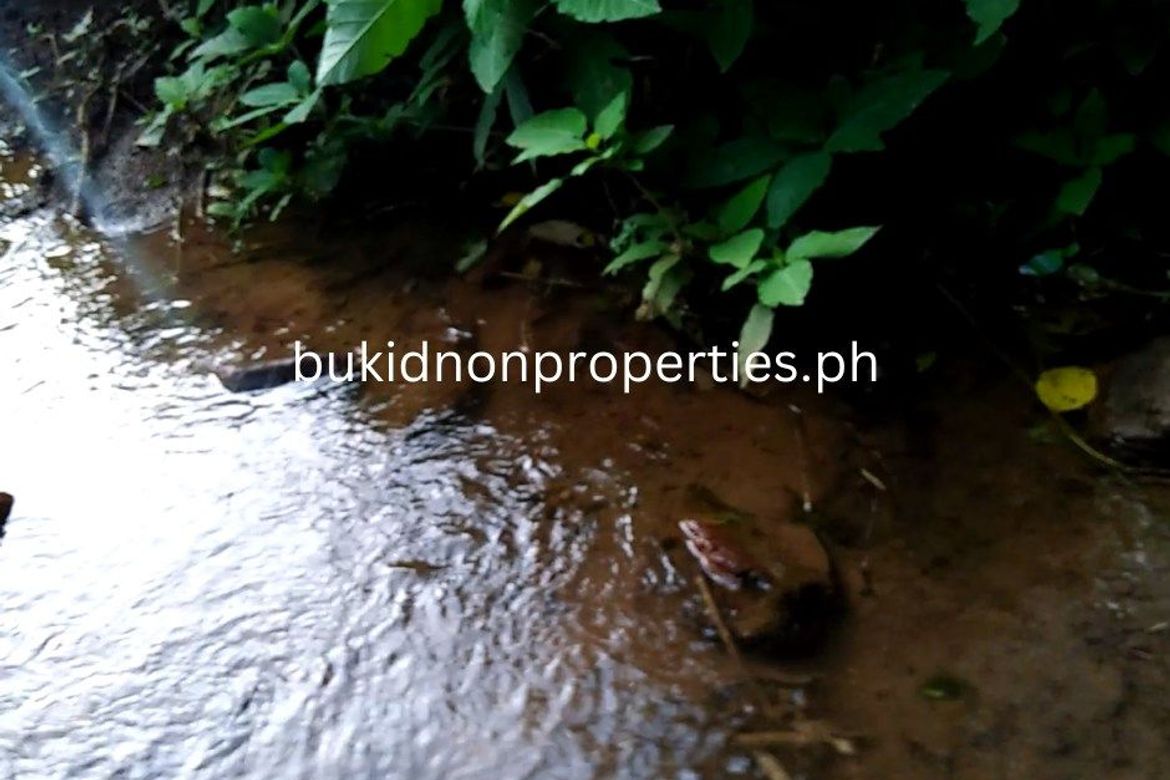 Land for Sale in Guinoyuran, Valencia, Bukidnon – photo 2