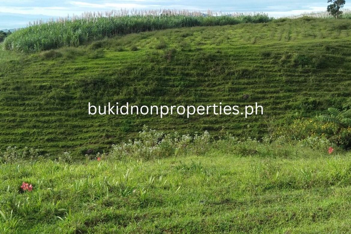 Land for Sale in Guinoyuran, Valencia, Bukidnon – photo 3