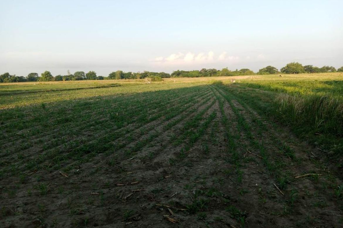 Land for Sale in Guiteb, Ramos, Tarlac – photo 3
