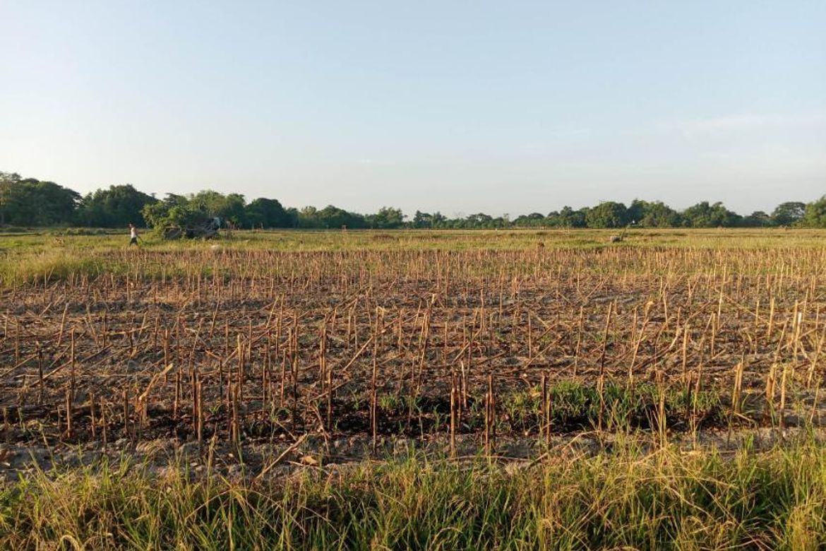 Land for Sale in Guiteb, Ramos, Tarlac – photo 6