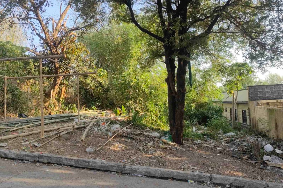 Land for Sale in Guitnang Bayan I, San Mateo, Rizal – photo 2