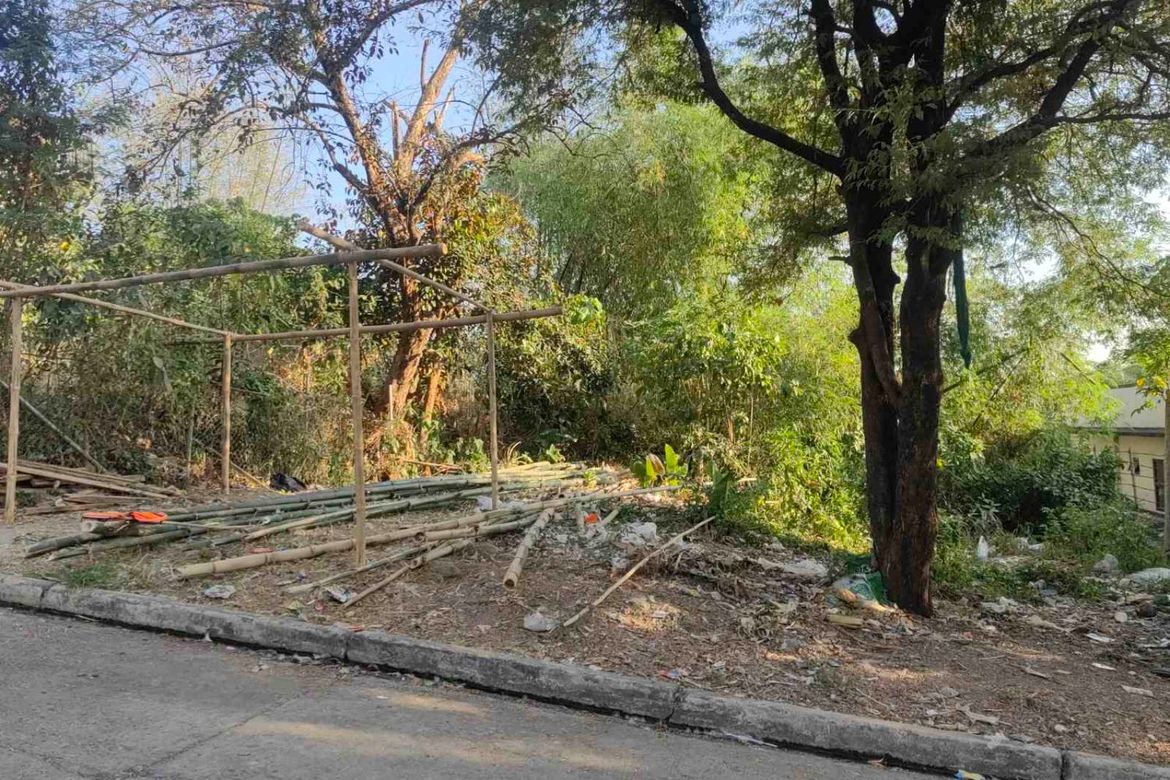 Land for Sale in Guitnang Bayan I, San Mateo, Rizal – photo 3