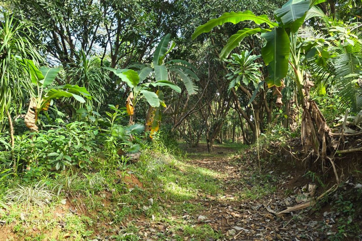 Land for Sale in Guitnang Bayan I, San Mateo, Rizal