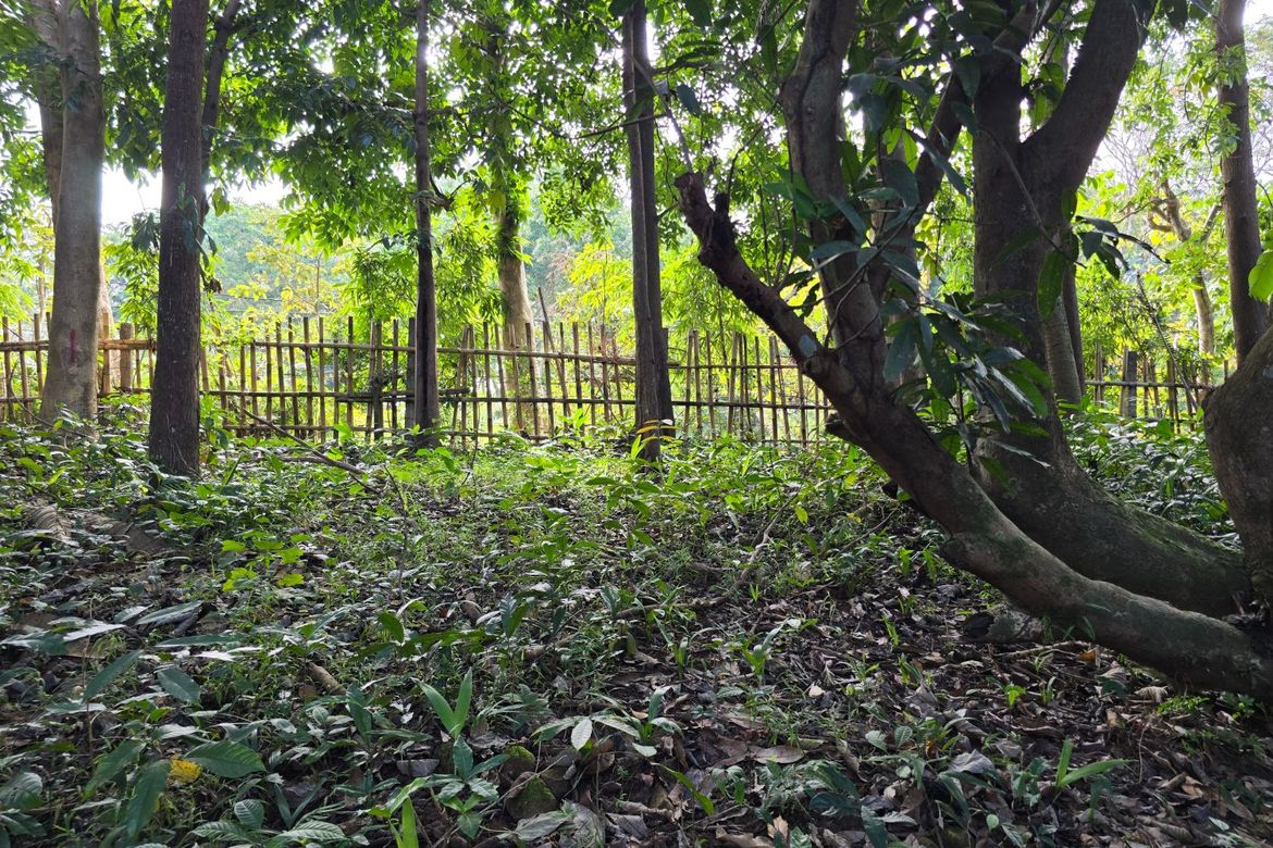 Land for Sale in Guitnang Bayan I, San Mateo, Rizal – photo 2