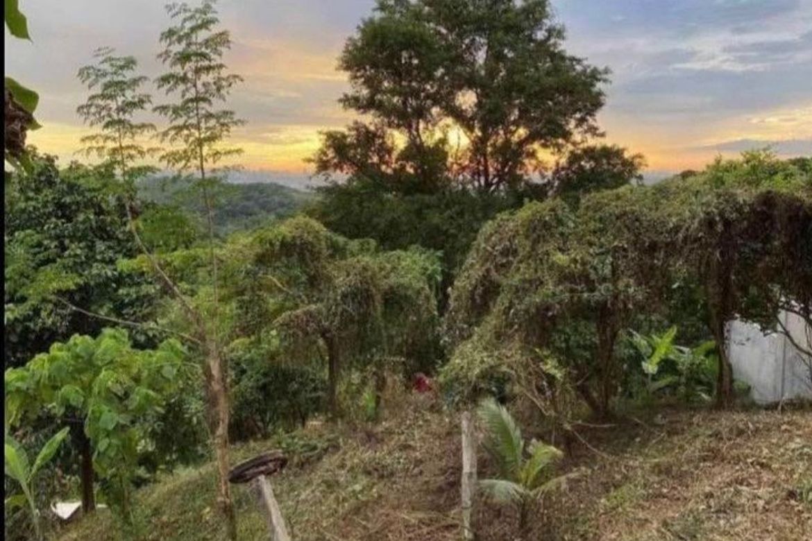 Land for Sale in Guitnang Bayan I, San Mateo, Rizal – photo 2