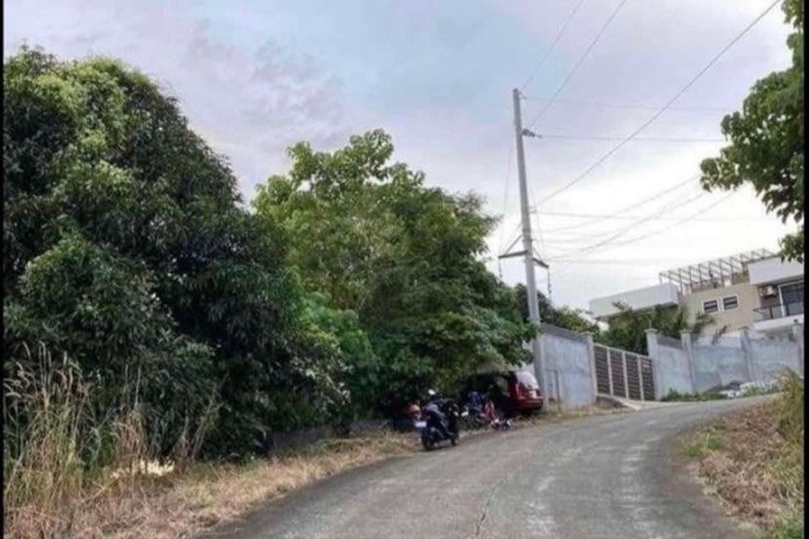 Land for Sale in Guitnang Bayan I, San Mateo, Rizal – photo 3