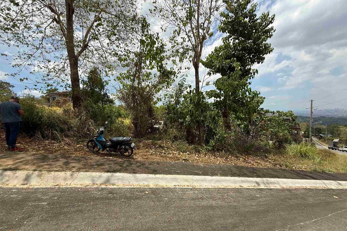 Land for Sale in Guitnang Bayan I, San Mateo, Rizal – photo 3
