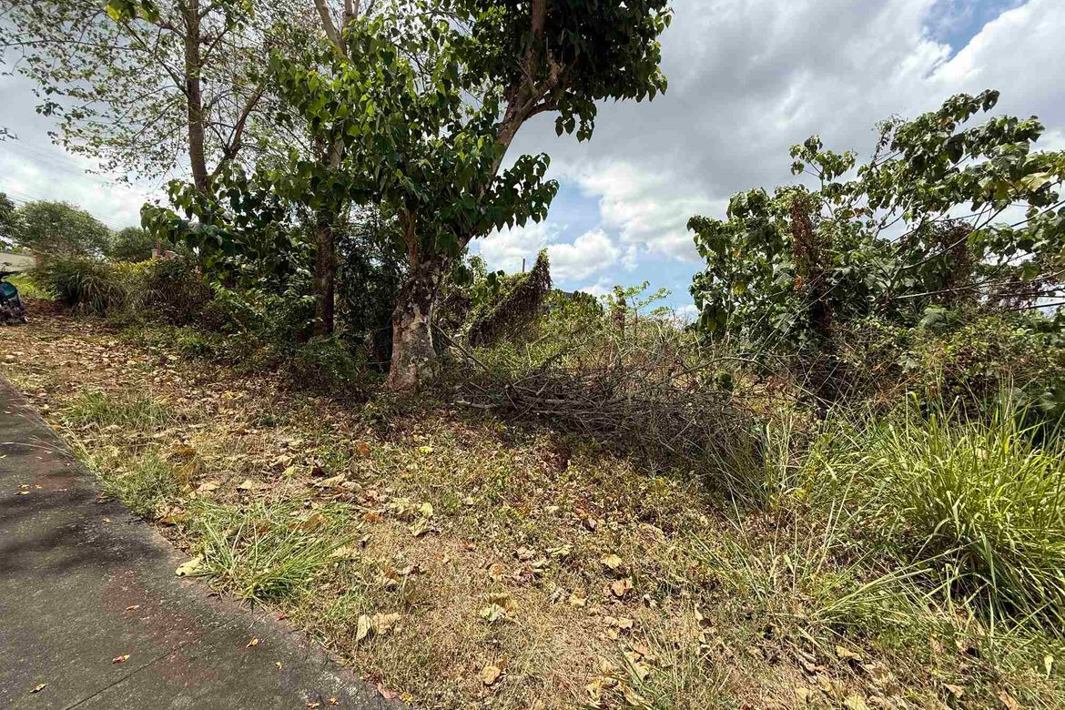 Land for Sale in Guitnang Bayan I, San Mateo, Rizal – photo 5