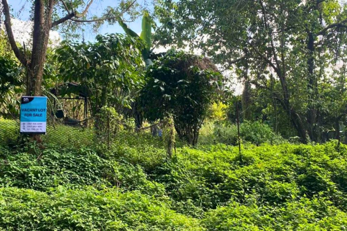 Land for Sale in Guitnang Bayan II, San Mateo, Rizal