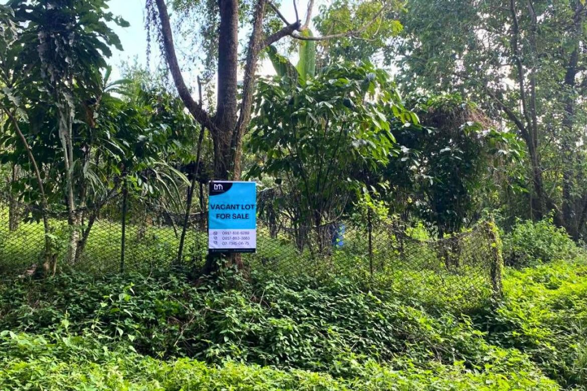 Land for Sale in Guitnang Bayan II, San Mateo, Rizal – photo 3