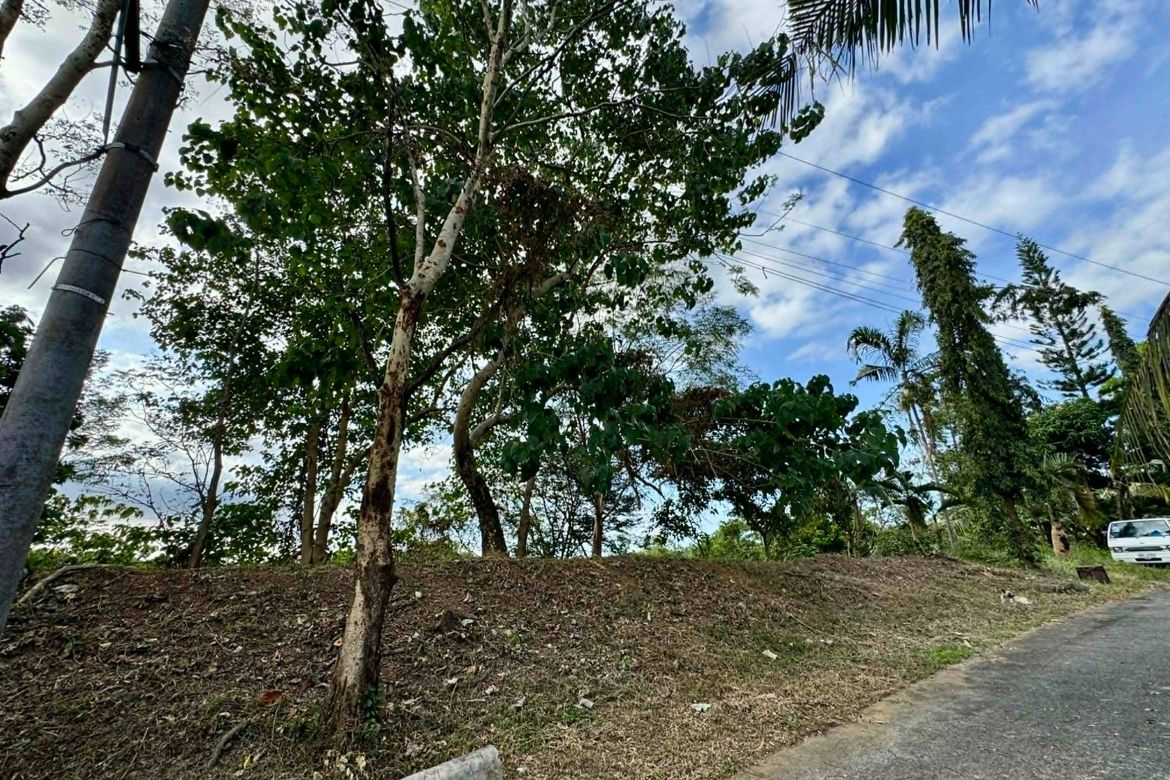 Land for Sale in Guitnang Bayan II, San Mateo, Rizal