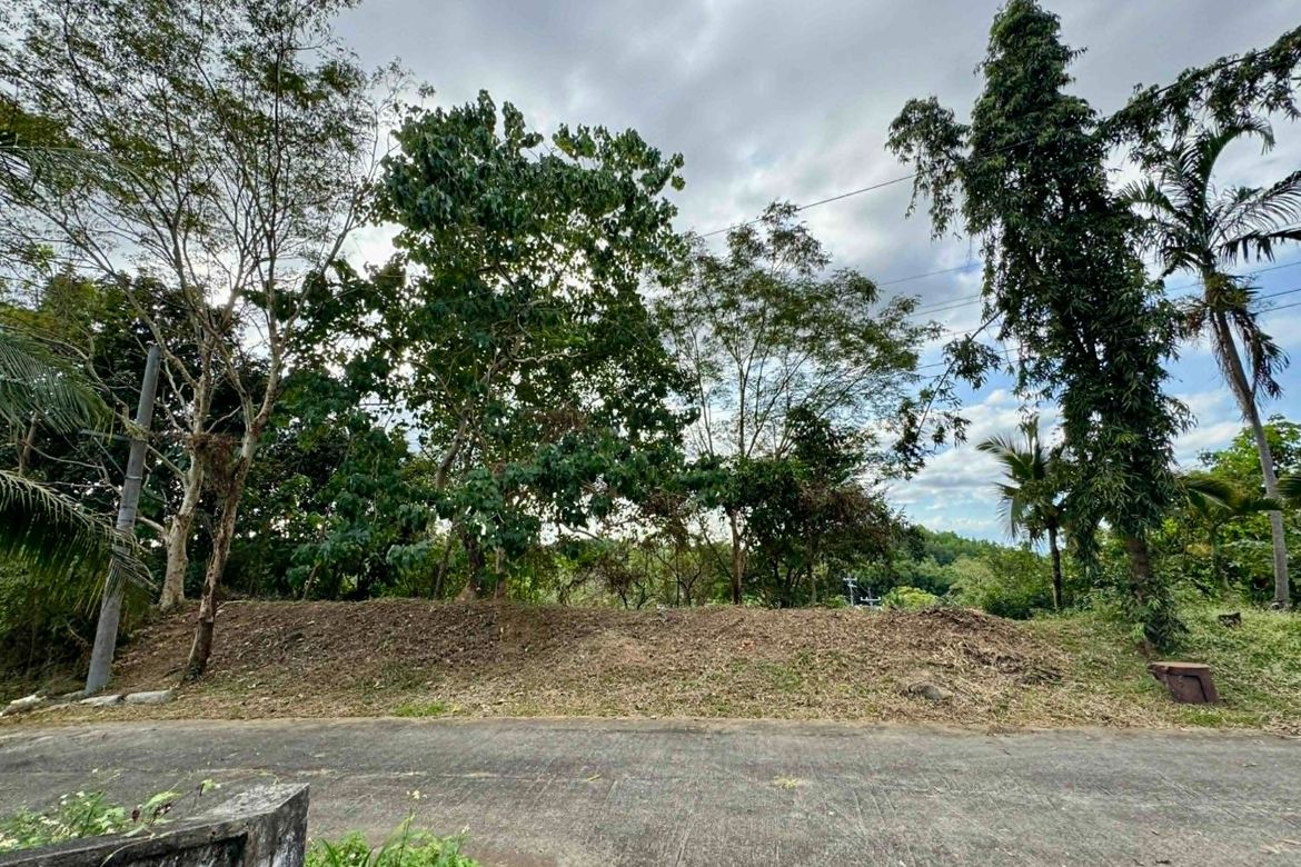 Land for Sale in Guitnang Bayan II, San Mateo, Rizal – photo 3