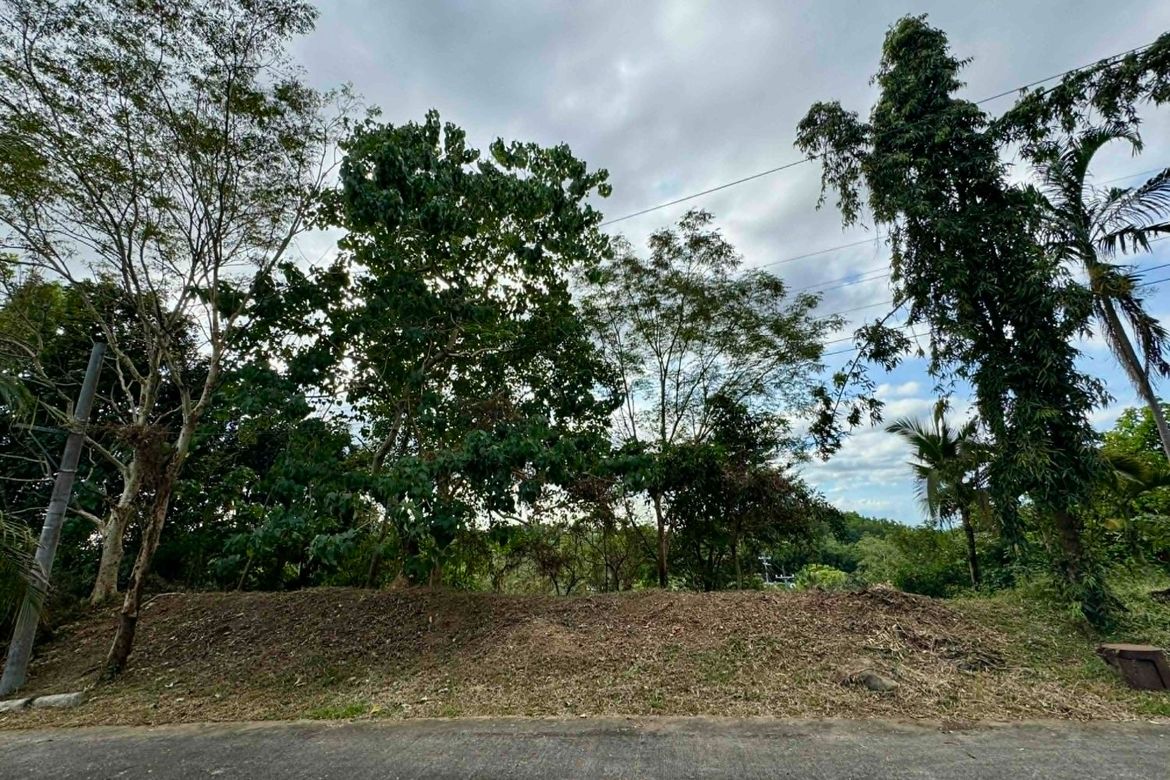 Land for Sale in Guitnang Bayan II, San Mateo, Rizal – photo 6